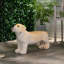 Banc Brown Dog Ambiance - sans assemblage