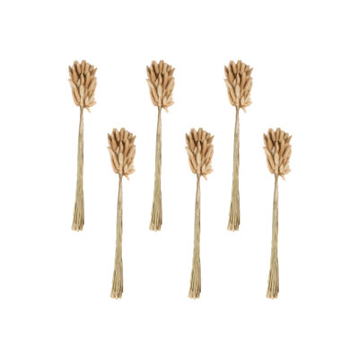  Natural Preserved Bunny Tail Grass Stems, Dried Lagurus Ovatus, Pack Of 6, Neutral Vase Filler For Boho, Pampas, Wedding & Home Décor Arrangements, 25" Tall, Pack Of 6