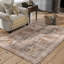 Tapis de salon brun clair de 4 pi 6 pi, tapis lavable à la machine, tapis rétro antidérapant pour tapis de chambre à coucher, tapis bohème, tapis rétro patiné pour salle de classe, dortoir, salle à manger-2104853097