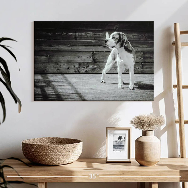 Brampt Monochrome Beagle, 20" H x 30" W