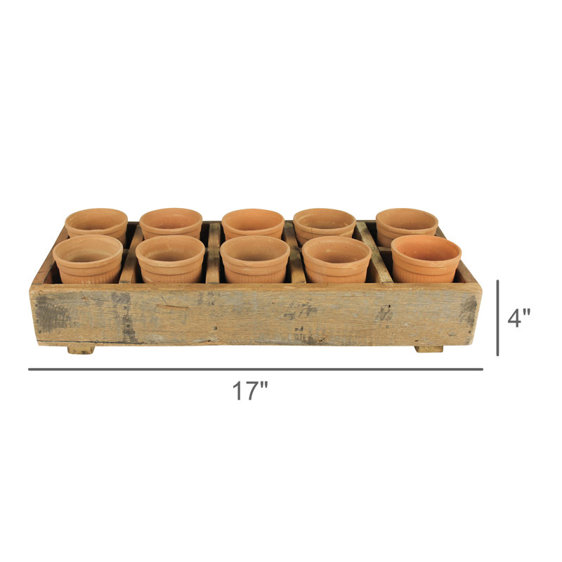 Adalbero Wood Caddy with Clay Cups