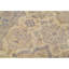 Wool Oriental Area Rug