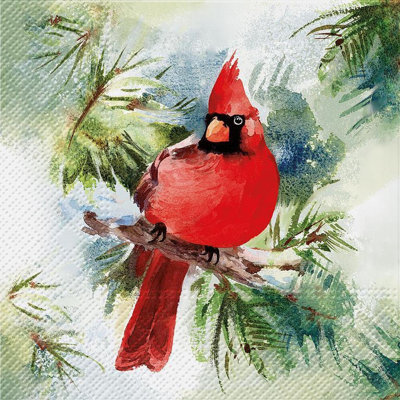 Ensemble de 20 serviettes Cardinal Winter
