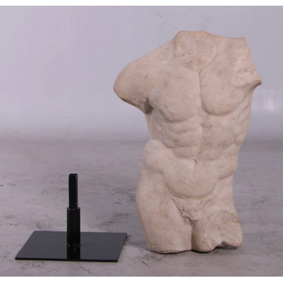 Andrea Male Torso Life Size Statue