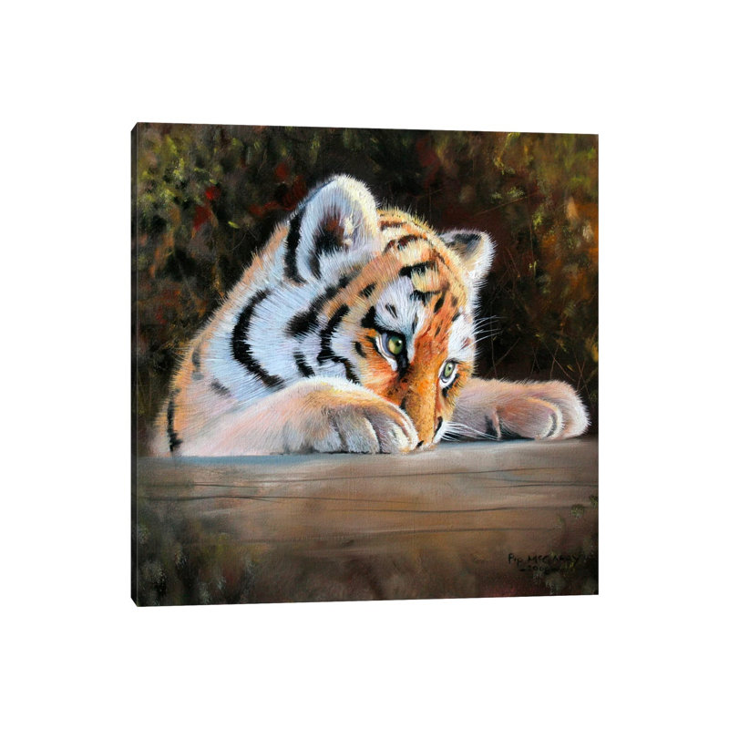Tiger Cub Face by Pip McGarry - Wrapped Canvas Gallery-Wrapped Canvas Giclée, 30.48 cm H x 30.48 cm W