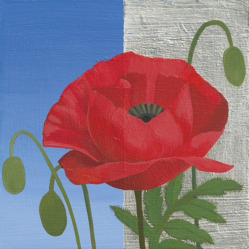 Poppy by Kathrine Lovell - Wrapped Canvas Painting, 122cm H x 122cm W