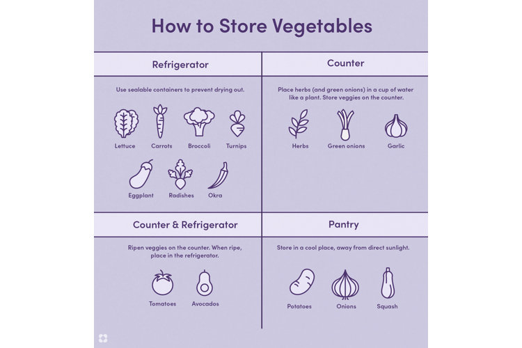 visual illustration depicting where to store different vegetables