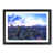 Black Framed