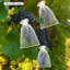 Sacs de protection des fruits-100000682