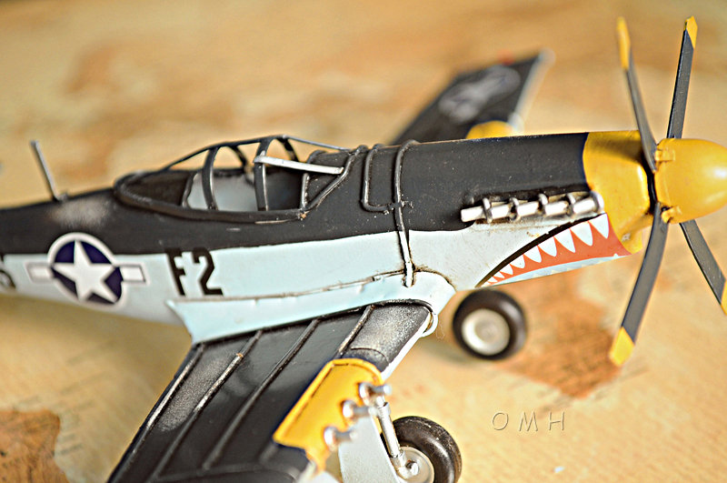 1943 mustang p51 1:40 plan