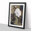 A Peony Flower by Shibata Zeshin - Framed Print-55450868-55450871