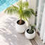 Pot de fleurs Dorlis Fiberstone-930299744-930299750
