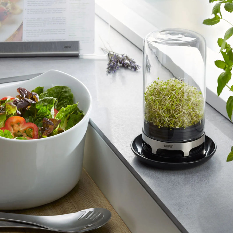 Gefu Food Storage Container