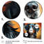 «Dog Inquisitive Canine Popart II», reproduction sur toile-91644734-91644746