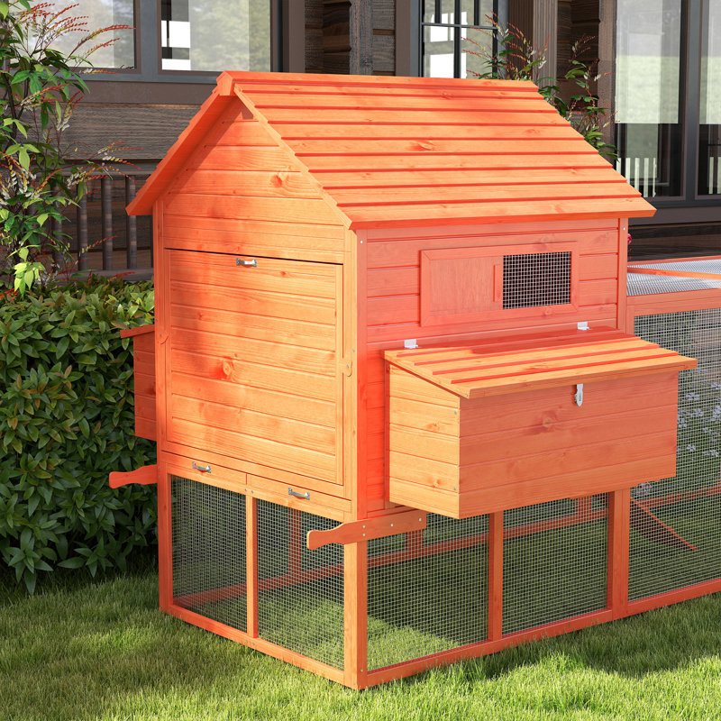 Poulailler Tucker Murphy Pet ™ de 145 po avec espace intérieur et poule, bois