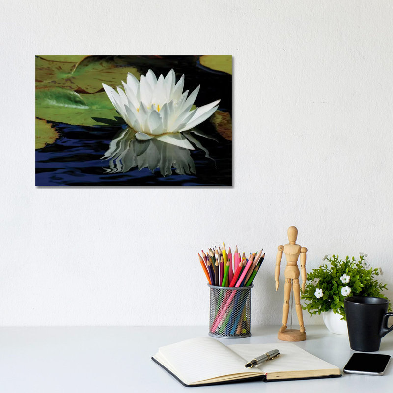 Lily Reflections by Brian Wolf - Wrapped Canvas Print, 20.32 cm H x 30.48 cm W