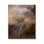 «Nighttime Owl Moonlit Cloudy Sky» par Kelley Parker - photographie sur toile tendue