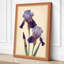 Purple Iris Study Botanical - Wrapped Canvas-1797624626-1797624627