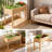 Elevated Wood Planter Box Stand