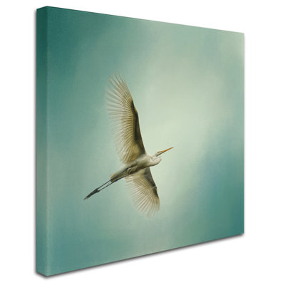«Egret Overhead» de Vidur, impression sur toile tendue