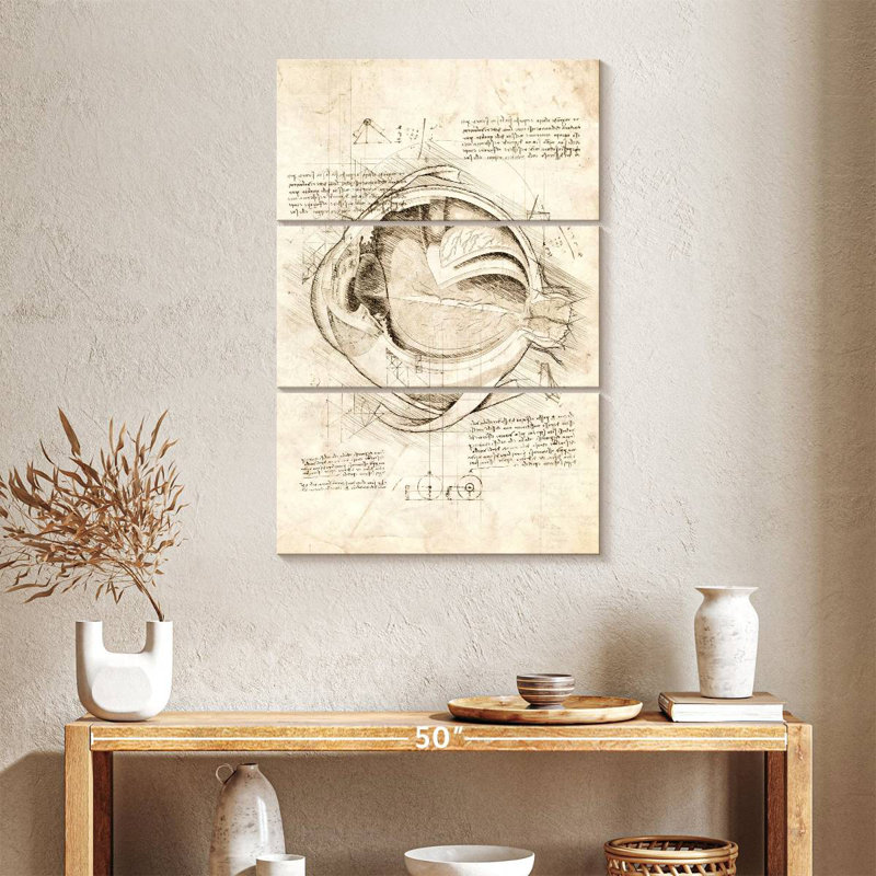 Keiri Human Eye Anatomy, 32" H x 20" W