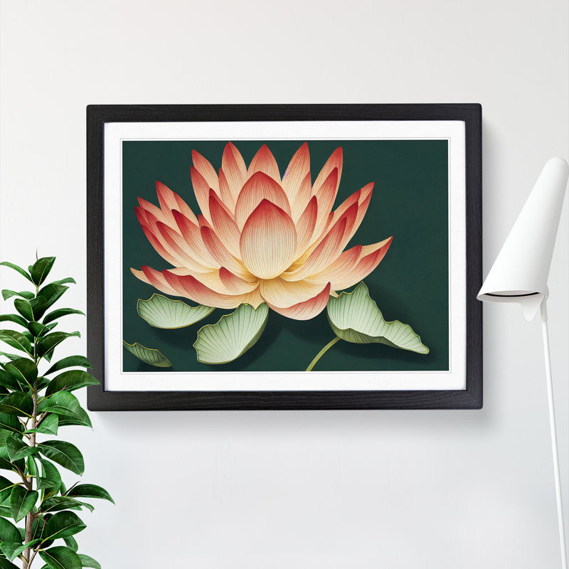 Showstopping Lotus Flower - Framed Print, Black, 46cm H x 64cm W x 2cm D