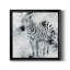 Zèbre I - cadre photo, impression sur toile-935780920-935780926