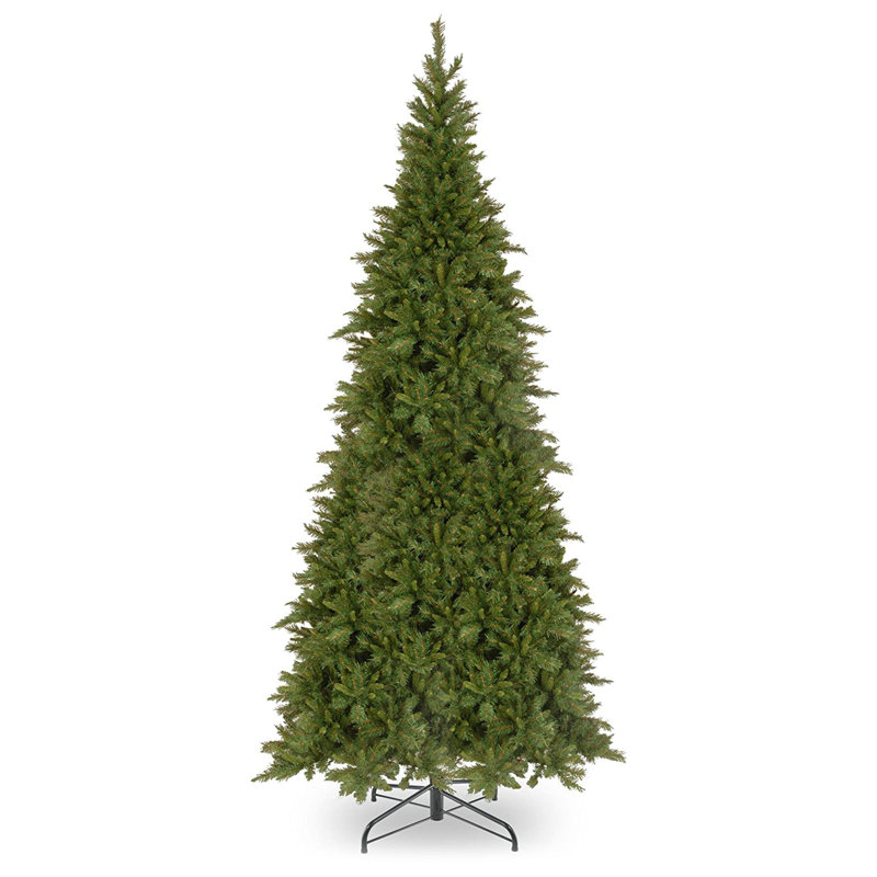 Tiffany Fir Slim Tree, 10'