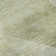 Premium Machine Washable Prisco Sage Rug