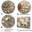 Minimalisme beige Zinnias Collage I sur toile-97034560-134201031