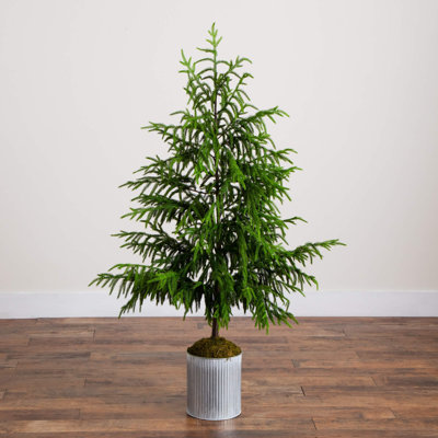 5Ft. Artificial Real Touch Norfolk Island Pine In Metal Tin Planter With Natural Look