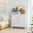 Free-Standing Storage Cabinet