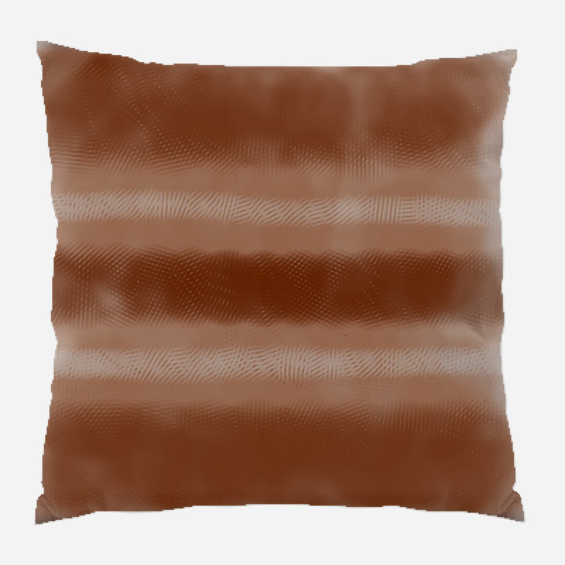 Coussin décoratif transparent, Intérieur