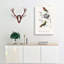 Bird Illustrations PL. 5d by Charles D' Orbigny - Wrapped Canvas Painting-55363299