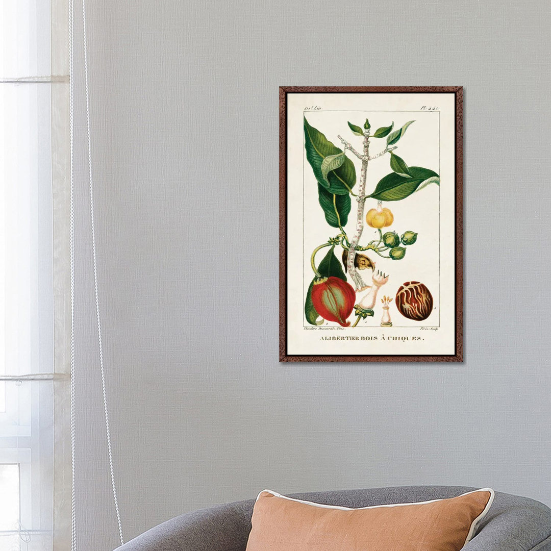 Turpin Foliage & Fruit III von Turpin - Galerie-umwickelte Leinwand Giclée auf Leinwand