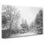 Winter Forest Vol.1 - Wrapped Canvas-61880891