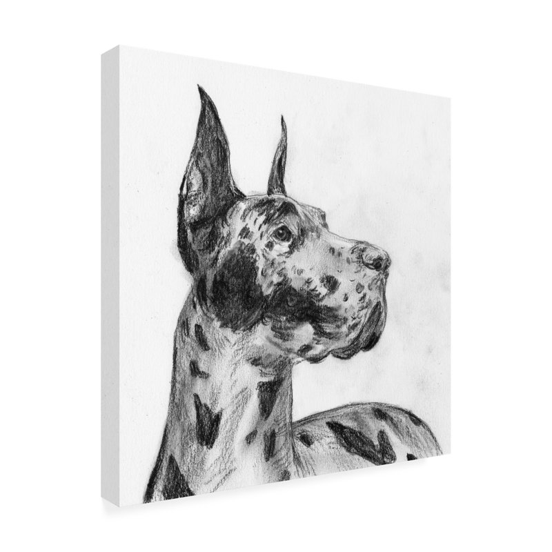 Melissa Wang «Great Dane Portrait II», art sur toile, H 18 po x l 18 po x P 2 po