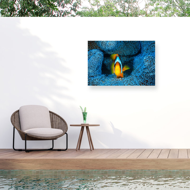 «Clownfish» en bleu sur toile par Barathieu Gabriel, H 22 po x l 32 po