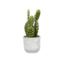 https://assets.wfcdn.com/im/02934060/resize-h210-w210%5Ecompr-r85/6280/62807916/9.5%27%27+Faux+Cactus+Plant+in+Concrete+Pot.jpg