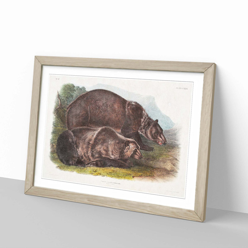 Grizzly Bears by J.W. Audubon - Picture Frame Painting Print, 36cm H x 48cm W x 2cm D, Oak Framed
