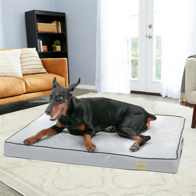 Coussin Pet, Grand (H 3,9 po x l 43,3 po x P 33,4 po)