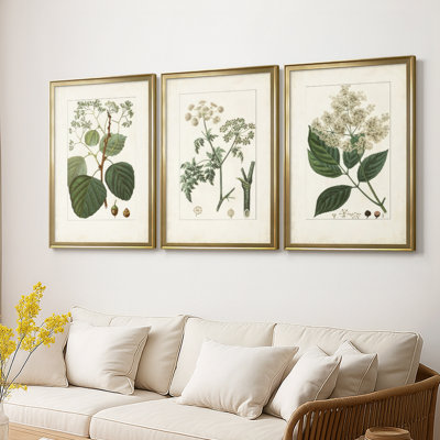 Antique Turpin Botanical IV - Toile tendue avec châssis sur mesure - 3 pièces