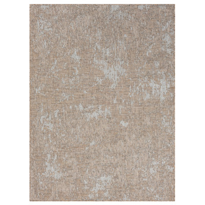 Flatweave Indoor Rug