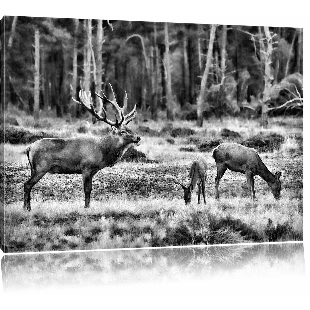 Leinwandbild Hirschfamilie auf herbstlicher Waldlichtung in Monochrom