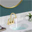 Lavabo de salle de bain encastrable ovale 19 po x 16 po en céramique de porcelaine blanche moderne avec trop-plein 19 po x 16 po