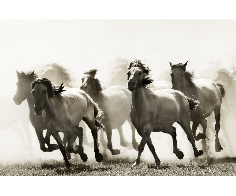 Wrapped Canvas Print, 60.96 cm H x 91.44 cm W