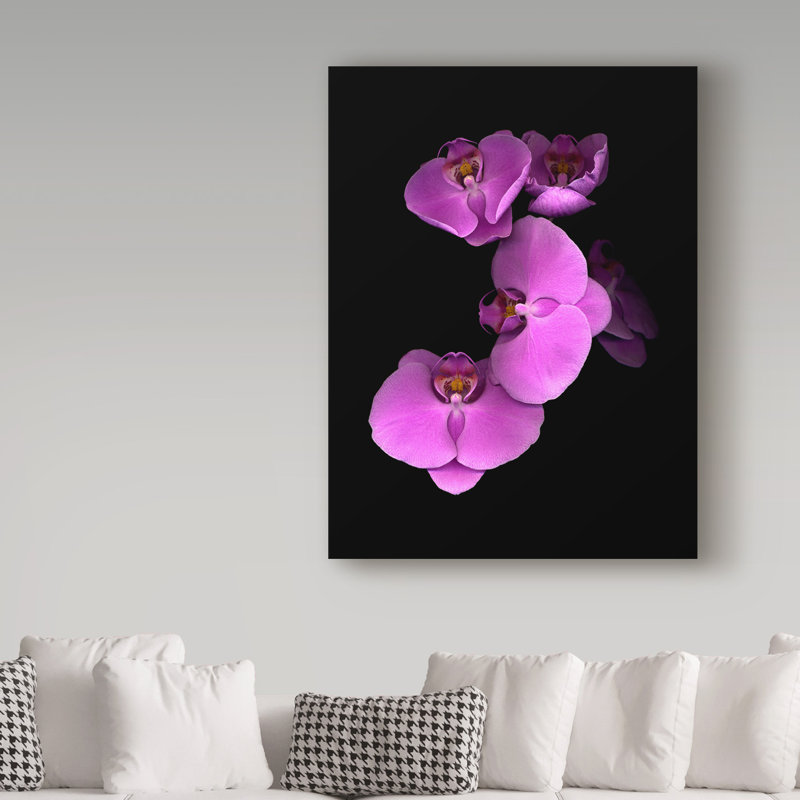 «Pink Orchids» par Dosta, impression sur toile tendue, H 19 po x l 14 po x P 2 po