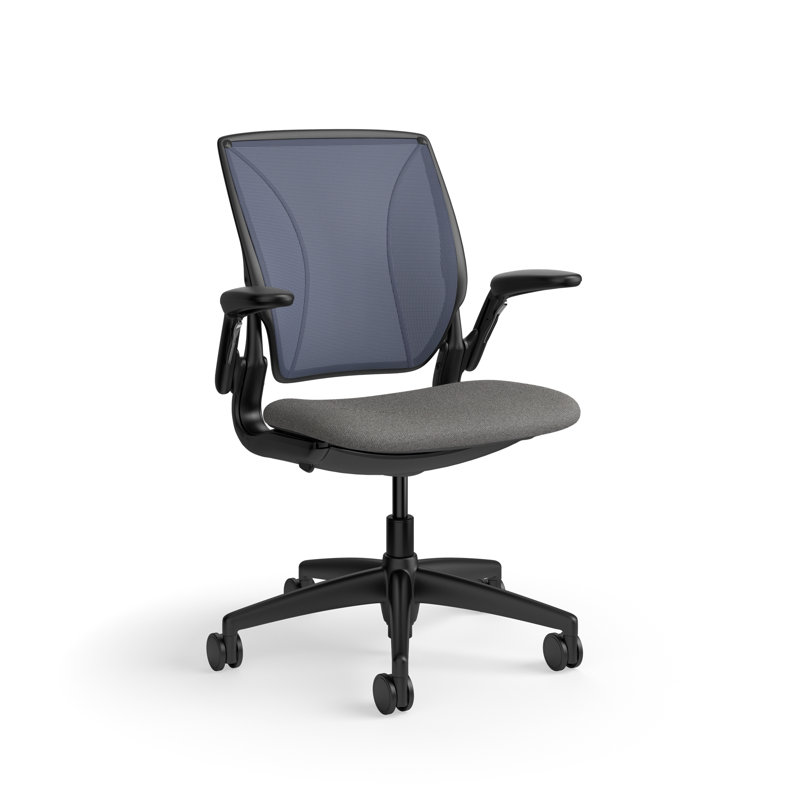 World LM, Ergonomic Task Chair with Poppy Seed Backrest, and  Autumn Upholstered Seat, Gray Fabric, Black, Blue Mesh