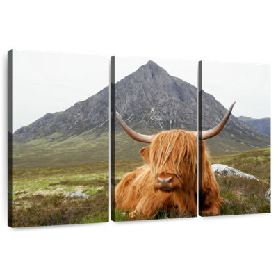 Vache sereine Brampt Highland