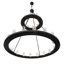 Loxley 28 - Light Chandelier